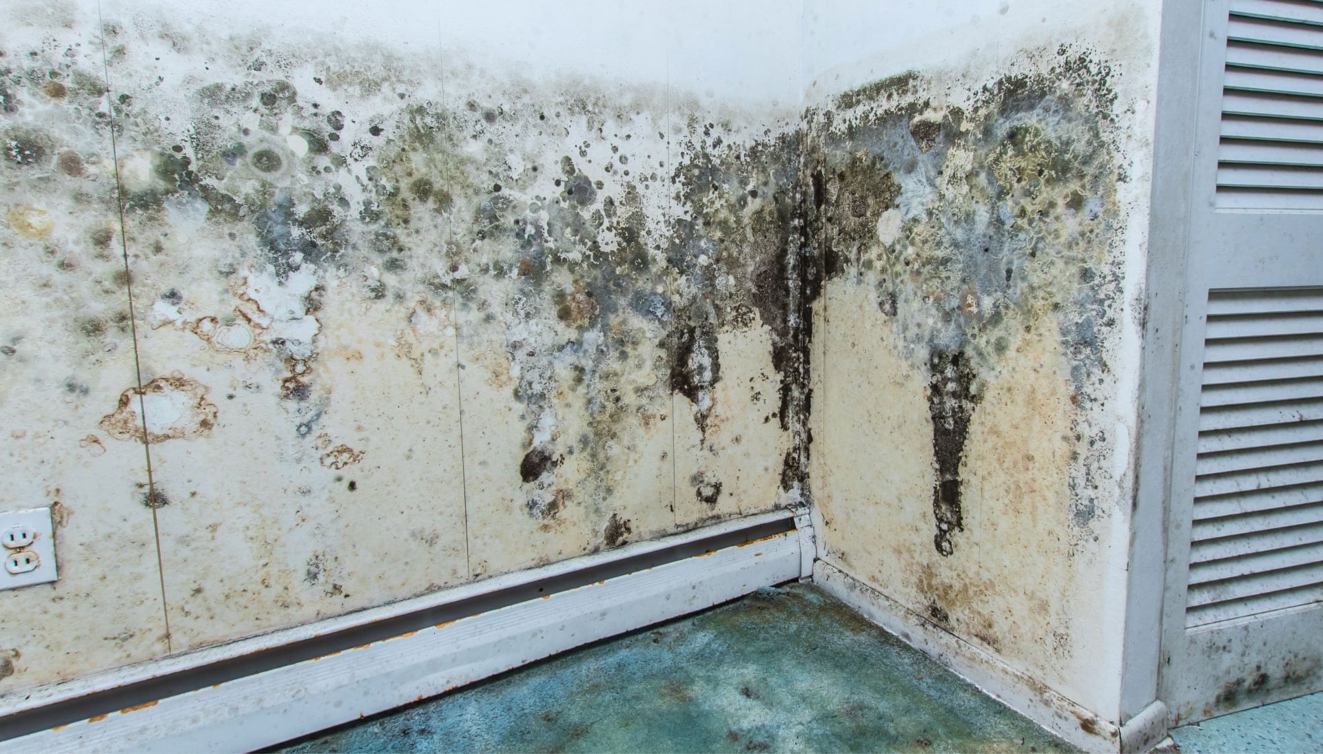 Mold Damage Odor Control Services in Cincinnati